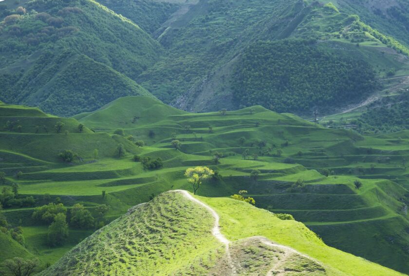 a view of a lush green valley with mountains in the background